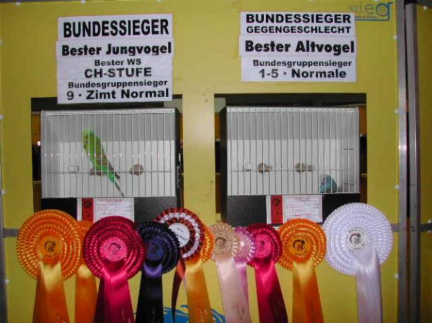 Bild 5 von 10  -  51 kB