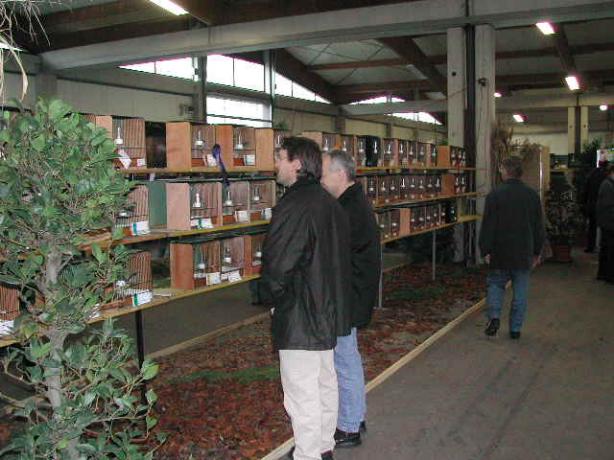 Bild 9 von 10  -  51 kB