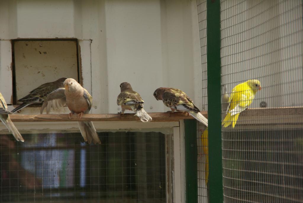 Image 17 of 19  -  70 kB