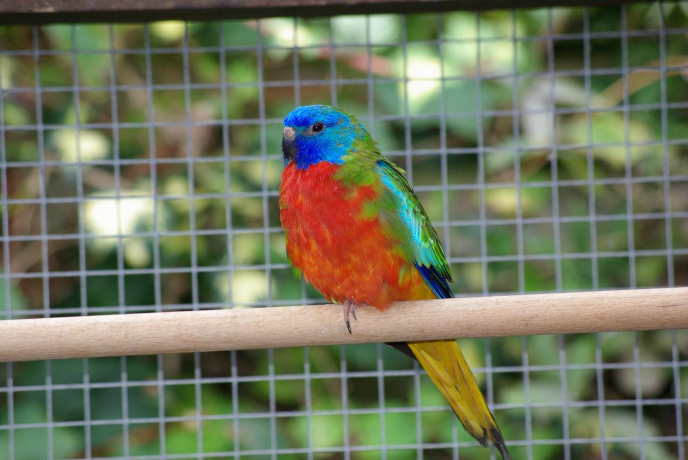 Bild 5 von 11  -  114 kB