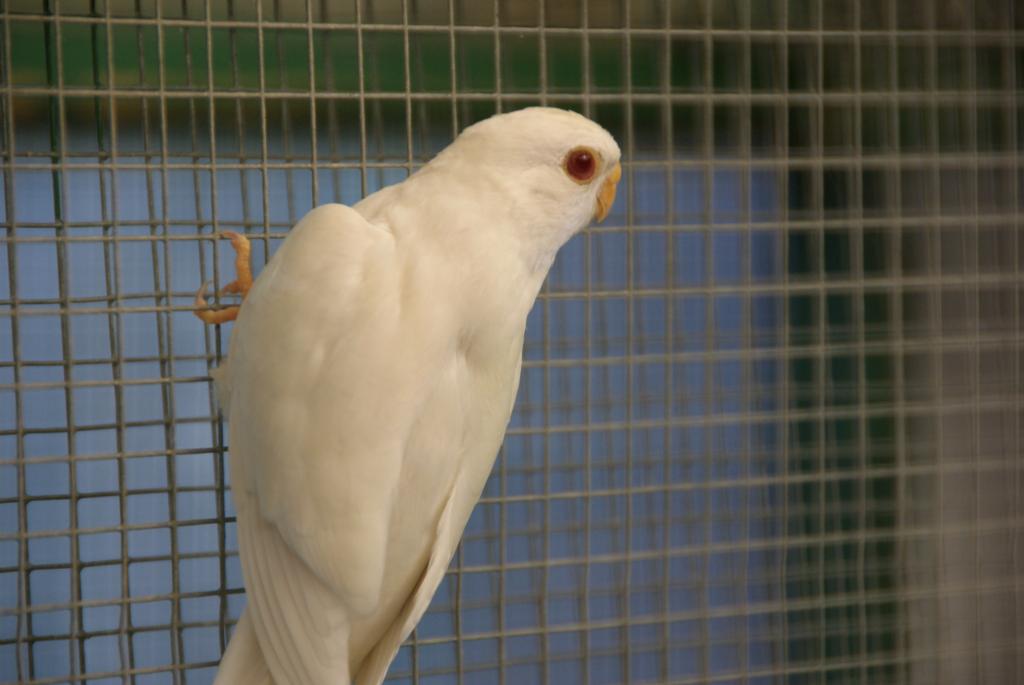Image 4 of 17  -  58 kB