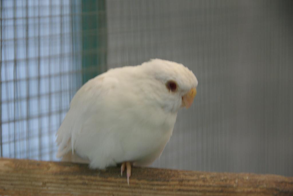 Image 10 of 11  -  37 kB
