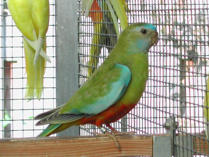Bild 15 von 17  -  72 kB