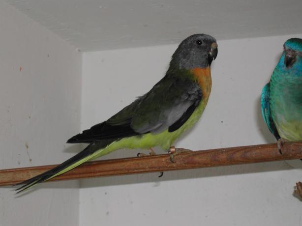 Bild 2 von 4  -  20 kB