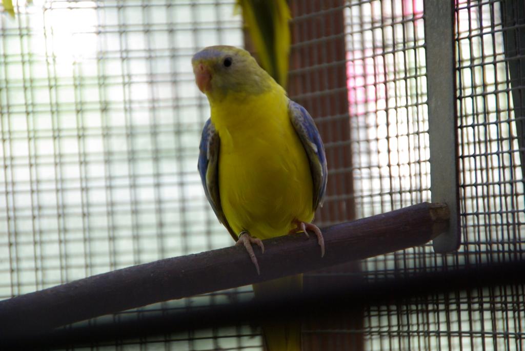 Image 12 of 12  -  80 kB