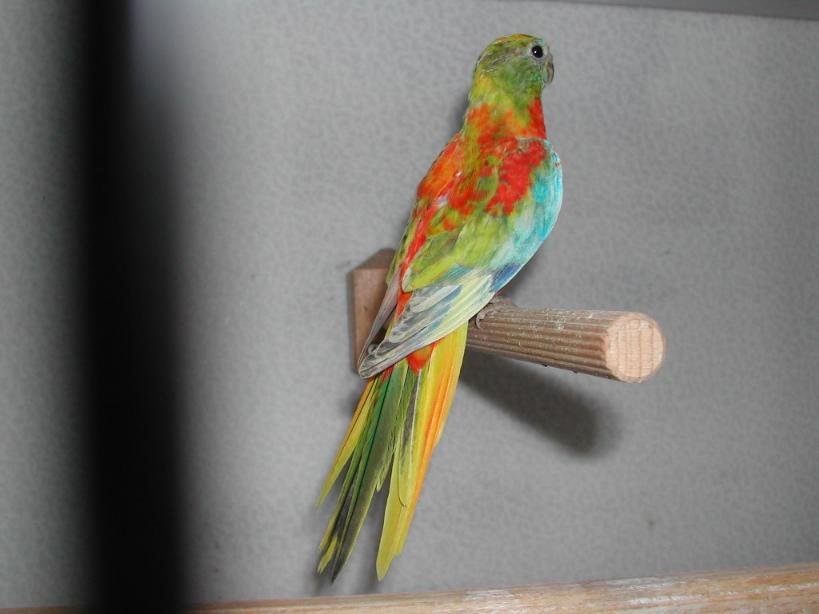 Bild 1 von 11  -  41 kB