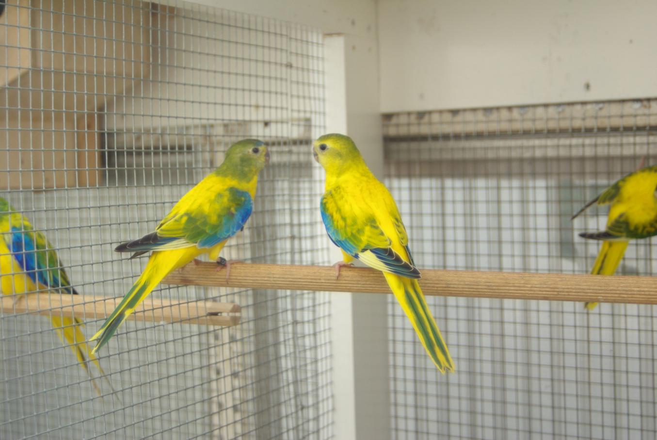 Bild 18 von 18  -  119 kB