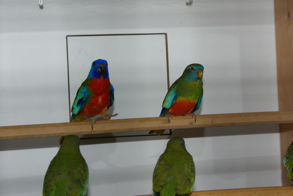 Bild 3 von 16  -  41 kB