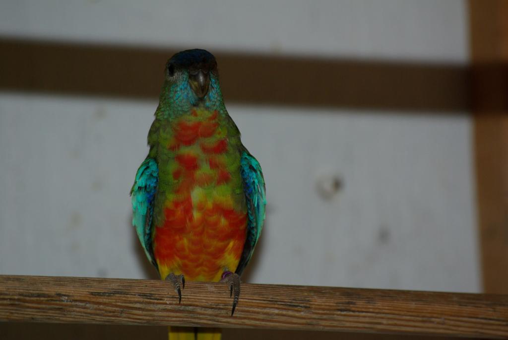 Bild 2 von 15  -  42 kB