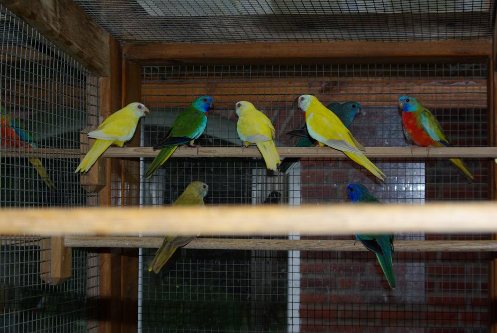 Bild 6 von 15  -  101 kB