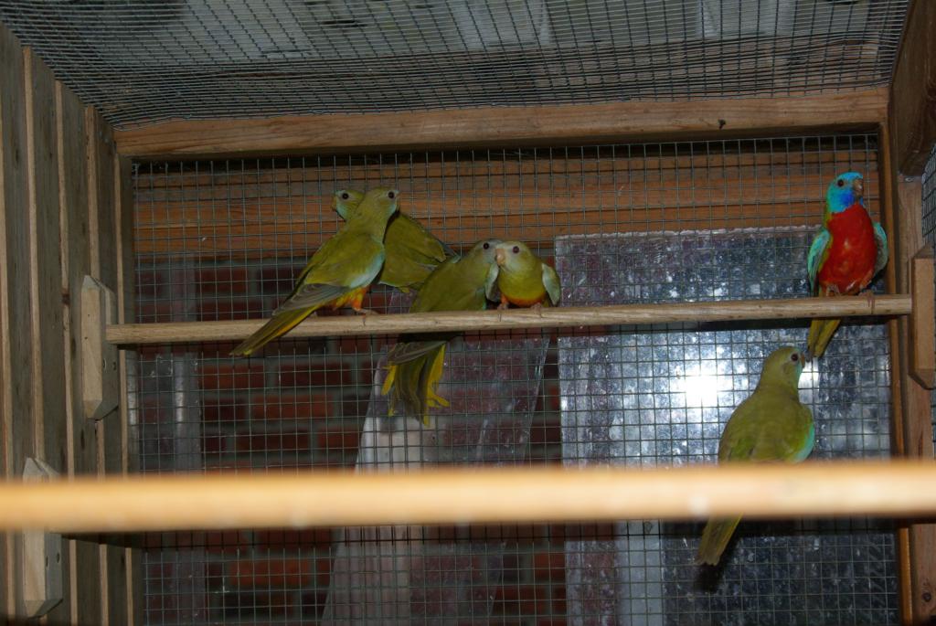 Bild 13 von 15  -  109 kB