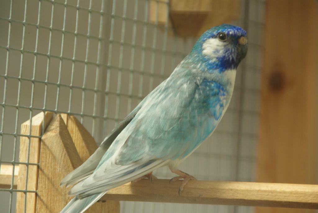 Image 1 of 16  -  60 kB