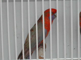 Bild 3 von 14  -  24 kB