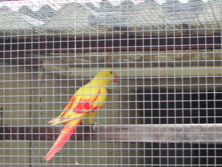 Bild 2 von 10  -  75 kB