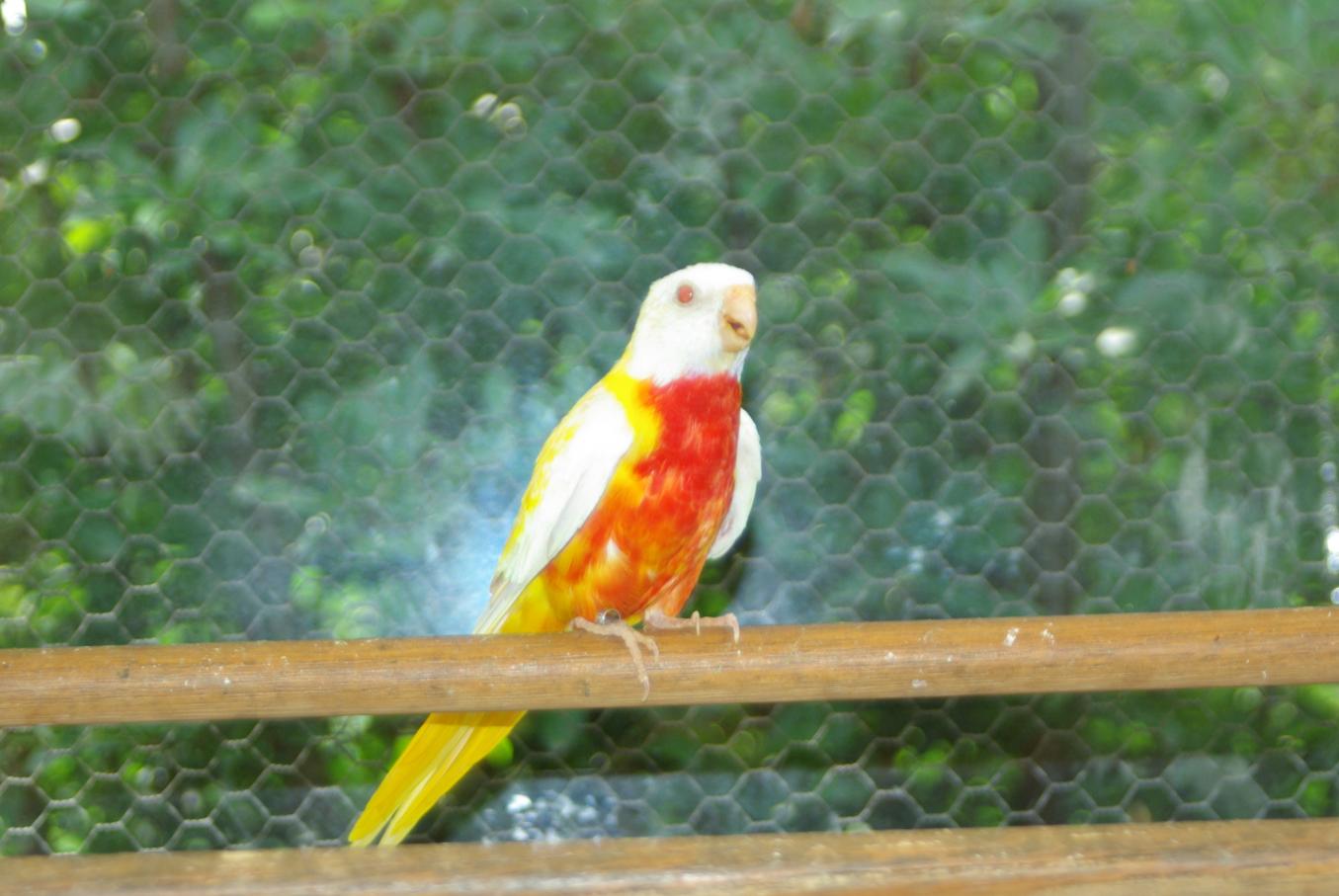 Bild 9 von 14  -  114 kB